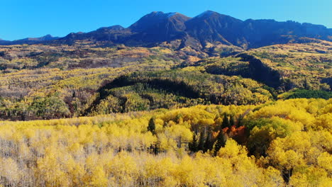 Colorful-Colorado-cinematic-aerial-drone-Kebler-Pass-Crested-Butte-Gunnison-wilderness-autumn-fall-yellow-Aspen-Trees-dramatic-incredible-landscape-daylight-bluebird-Rocky-Peaks-forward-reveal-motion