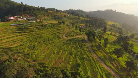 Filmischer-Vorwärtsflug-über-Grüne,-Terrassierte-Plantagenfelder-Und-Häuser-Am-Berghang-Bei-Sonnenuntergang-–-Dorf-Pokhara,-Nepal