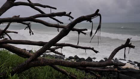 Burleigh-Heads,-Gold-Coast-02-January-2024---Rain-and-storms-at-Burleigh-Heads-with-stripped-palm-trees-on-the-Gold-Coast