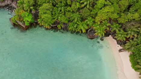 Aerial-view-of-small-exotic-beach-surrounded-by-green-lush-vegetation-in-the-Seychelles