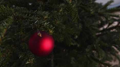 Hanging-Red-Christmas-bubble-on-Christmas-Tree-4K