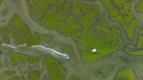 Aerial-top-down-view-of-kiteboarder-on-canals-of-green-peat-bog-landscape