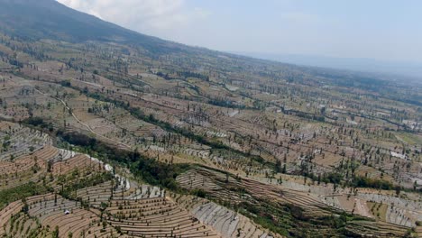 Endless-dry-fields-on-mountain-base-in-Indonesia,-aerial-view