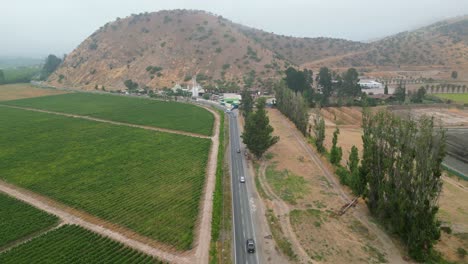 road-with-cars-and-even-alongside-a-grape-vineyard-in-Calera-de-Tango-Chile