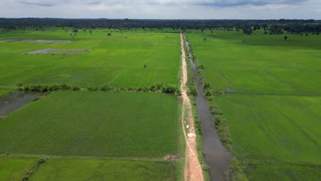 Campos-De-Arroz-Verdes-Y-Acequia-Que-Conduce-Hacia-El-Horizonte-Siem-Reap-Camboya