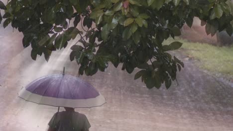 Lichtstrahlen-Und-Regen-Prallen-über-Einer-Einzelnen-Figur-Im-Schutz-Eines-Regenschirms-Aufeinander