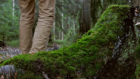 Man-stepping-over-green-moss-covered-tree-trunk-in-forest,-carbon-footprint