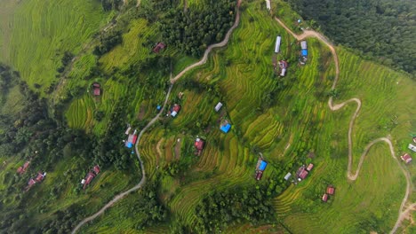 Dramatic-aerial-top-down-cinematic-overview-of-winding-road-and-terraced-Nepalese-fields-in-countryside