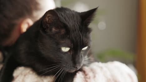 Nahaufnahme-Einer-Schwarzen-Katze,-Die-Eine-Frau-über-Die-Schulter-Trägt