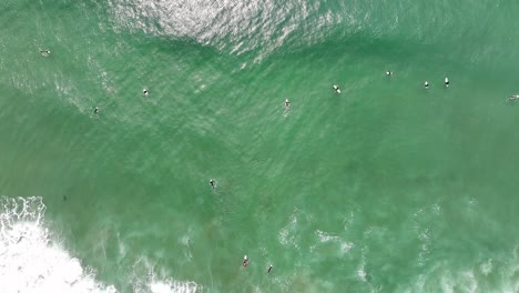 Surfers-Paddling-Top-Down-Aerial