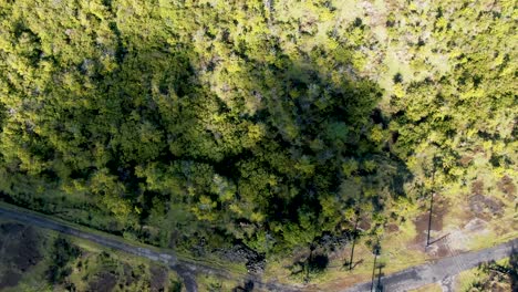 National-park-of-Hawaii-landscape-with-endless-forest,-aerial-view