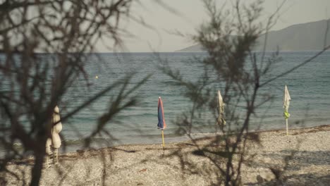 Thin-wispy-shrub-trees-blow-in-wind-as-waves-gently-crash-on-Mediterranean-shoreline-with-beach-umbrellas-closed