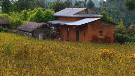 Ästhetische-Gleitende-Drohnenaufnahme-Von-Nepalesischen-Traditionellen-Dorfhäusern-Und-Hirsefarm-4k