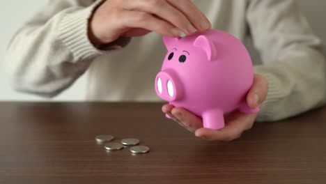 Person-holding-a-piggy-bank-and-storing-savings-in-it