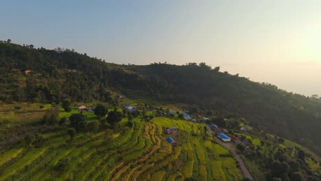Terraced-farm-fields-glow-vibrant-green-at-sunset-with-blue-roofed-homes-in-Pokhara-Nepal