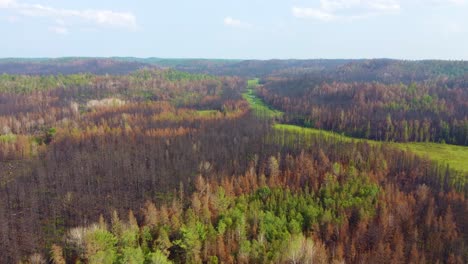 Aerial-view-of-wildfire-burned-forest-and-fall-foliage-along-green-meadows,-Toronto,-Canada