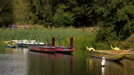 Kanus-Auf-Dem-Trentham-Lake,-Familie-Beim-Picknick-Im-Hintergrund