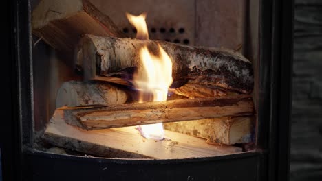 Birch-wood-starts-burning-inside-wood-stove-during-electricity-blackout