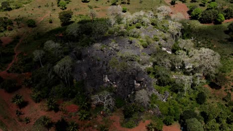 A-rock-formation-surrounded-by-tropical-plants-and-trees-in-Kenya