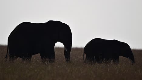 Una-Madre-Elefante-Con-Su-Bebé-En-La-Reserva-Nacional-Masai-Mara-En-Kenia.