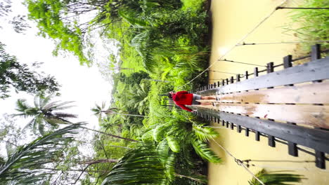 Rucksacktouristen-In-Roter-Jacke,-Die-Alleine-Im-Tiefen-Walddschungel-Wandern,-Wanderpfad,-Hängebrücke,-Erkundung-Des-Regenwaldes-In-Zentralamerika,-Urlaubsziel-In-Costa-Rica