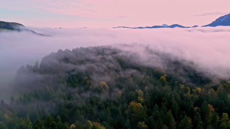 Thick-fog-or-clouds-above-morning-forest-landscape,-aerial-drone-view