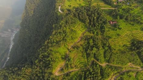 Panoramic-aerial-overview-of-terraced-field-with-winding-dirt-road-and-meandering-river-at-valley-base
