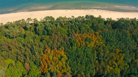 Drone-view-above-the-forest,-beach-and-sea-at-sunny-summer-day