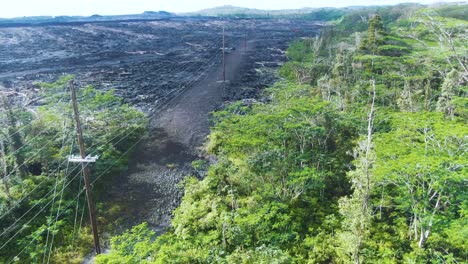 Survived-green-jungle-and-landscape-after-volcano-eruption-in-background,-aerial-view