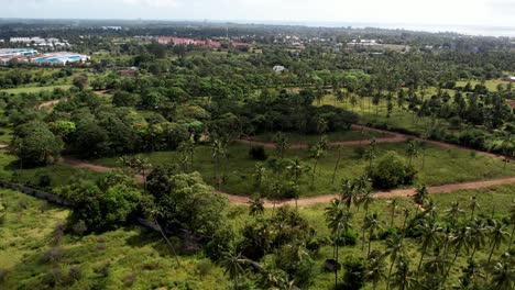 Aerial-panorama-over-a-tropical-landscape-of-Kenya-with-coconut-trees