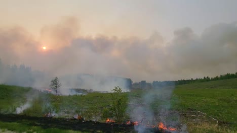 View-of-wildfire-burn-patches-and-smoke-in-green-forested-field,-Alberta,-Canada-Fox-Creek-Wildfire