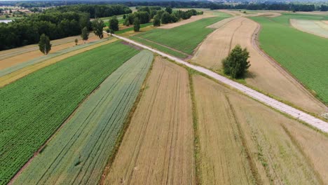 Fertile-land-of-grain-and-vegetable-crops-in-August-harvest-time,-aerial-view