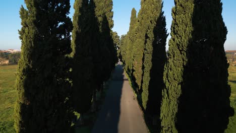 Hohe-Bäume-Säumen-Die-Via-Appia-Und-Werfen-Dunkle-Schatten-Auf-Den-Fußweg-Des-Römischen-Triumphs