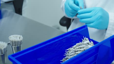 Labortechniker-In-Laborjacke-Und-Blauen-Medizinischen-Handschuhen-Stopft-Und-Dreht-Cannabis-Vorrollen