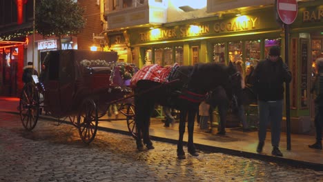 Horse-Drawn-Carriages-In-Front-Of-Oliver-St