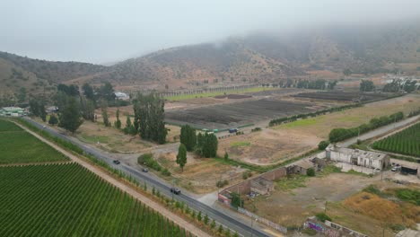 road-and-grape-vineyard-in-metropolitan-region-of-Chile
