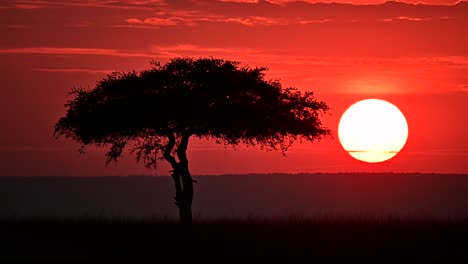 La-Puesta-De-Sol-En-Masai-Mara-Dentro-De-La-Reserva-Nacional-Masai-Mara-En-Kenia