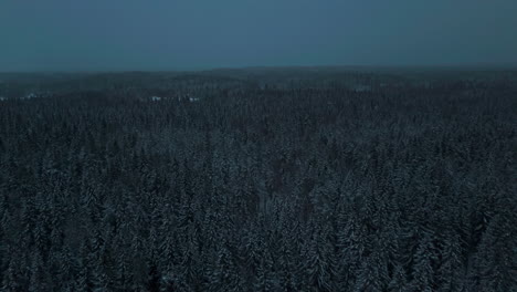 Flying-over-a-dark-ominous-forest-in-Lapland-wilderness-woodlands