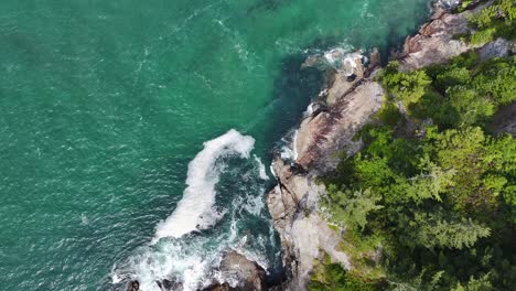 Epic-Top-Down-Aerial-of-Pine-Trees-Touching-Sea