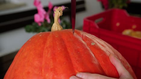 Close-up-knife-carving-huge-orange-pumpking-for-Halloween-holiday-scary-party-decoration