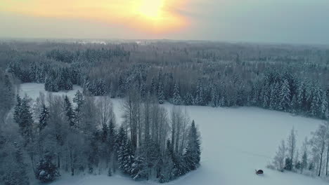 Sunset-over-a-frosty-winter-forest---aerial-flyover