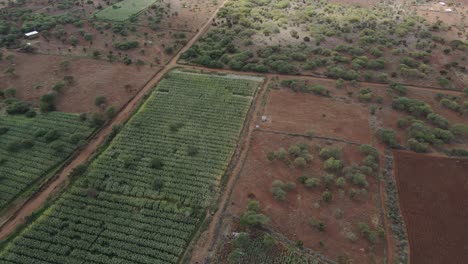 Paisaje-Tranquilo-De-Tierras-De-Cultivo-Africanas-En-El-Sur-De-Kenia,-Vista-Aérea