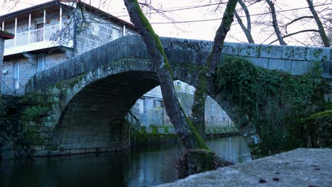 Side-angle-static-view-of-water-flowing-slow-below-bridge-covered-in-ivy-vines