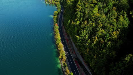 Beautiful-road-between-lake-and-dense-forest