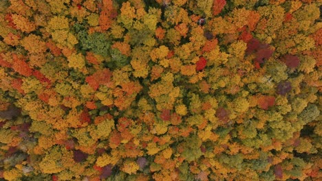 Vibrantes-Colores-Otoñales-Sobre-El-Bosque-De-Montaña-Cerca-De-Vermont,-Estados-Unidos