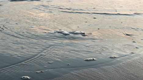 Meerwasser-Bedeckt-Eine-Plastiktüte-Im-Sand