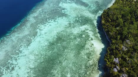 Static-aerial-view-of-coral-reef-ecosystem-in-crystal-clear-ocean-water-on-remote-tropical-island-in-Raja-Ampat,-West-Papua,-Indonesia