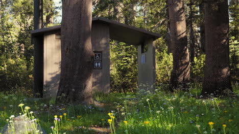 Public-National-or-State-Park-Restroom-in-a-Secluded-Forest-Clearing