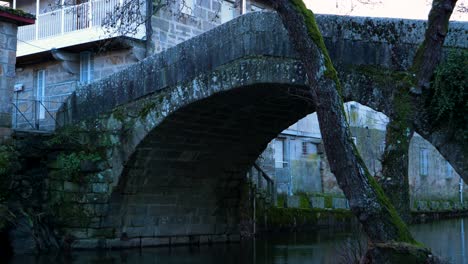 Moss-covered-old-tree-bends-over-river-Molgas-and-Roman-bridge-with-lichen-covered-stone