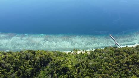 Vista-Aérea-De-La-Costa-Con-Arrecifes-De-Coral,-Aguas-Cristalinas-Del-Océano-Y-Una-Densa-Selva-Tropical-En-La-Remota-Isla-Tropical-De-Raja-Ampat,-Papua-Occidental,-Indonesia